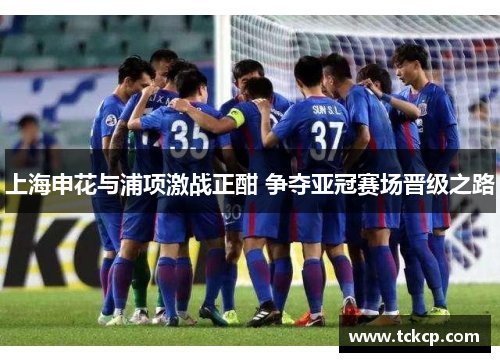 上海申花与浦项激战正酣 争夺亚冠赛场晋级之路