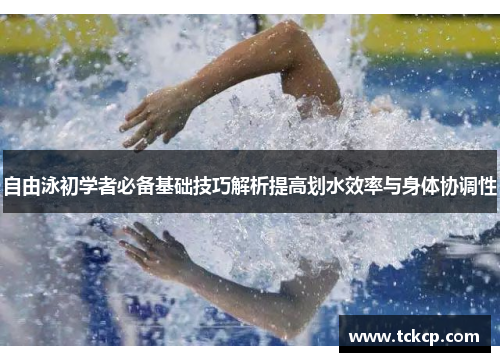 自由泳初学者必备基础技巧解析提高划水效率与身体协调性