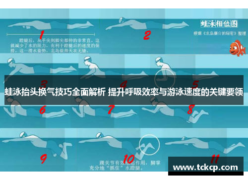 蛙泳抬头换气技巧全面解析 提升呼吸效率与游泳速度的关键要领